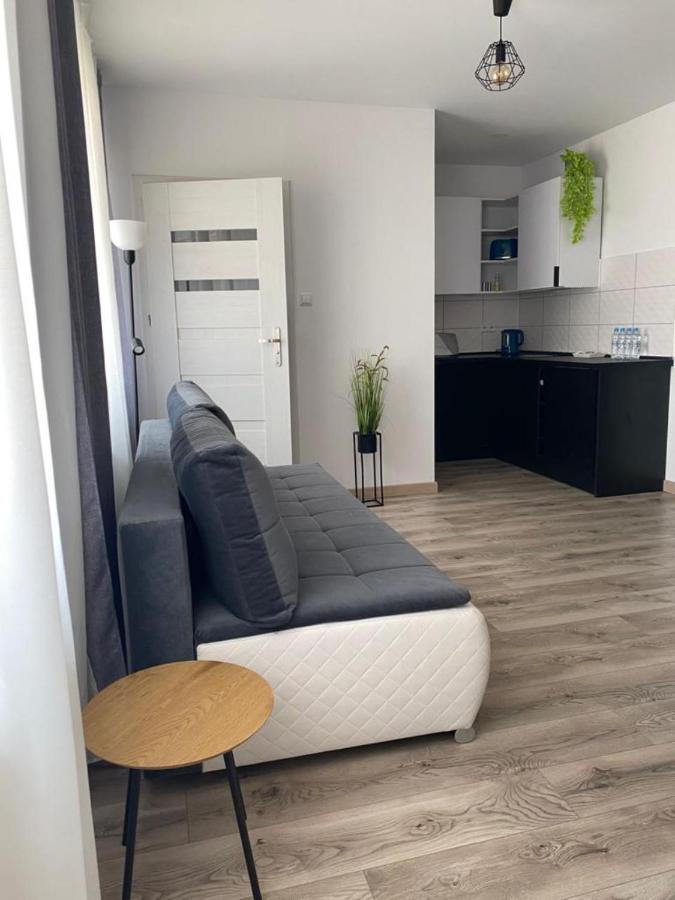 Apartamenty Zatorze Leszno (Greater Poland) Exterior foto